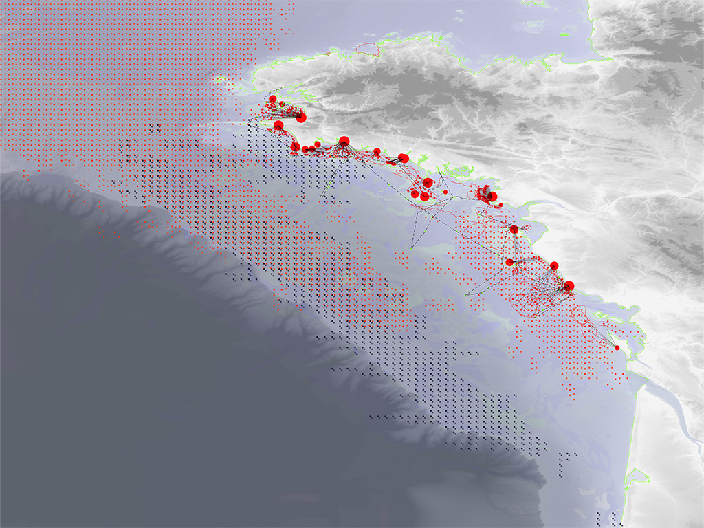 A coastal map of Brittany shows fishing routes and sardine landings marked by red dots and connecting lines, overlaid on a shaded land–sea relief with a dense grid of offshore vectors.