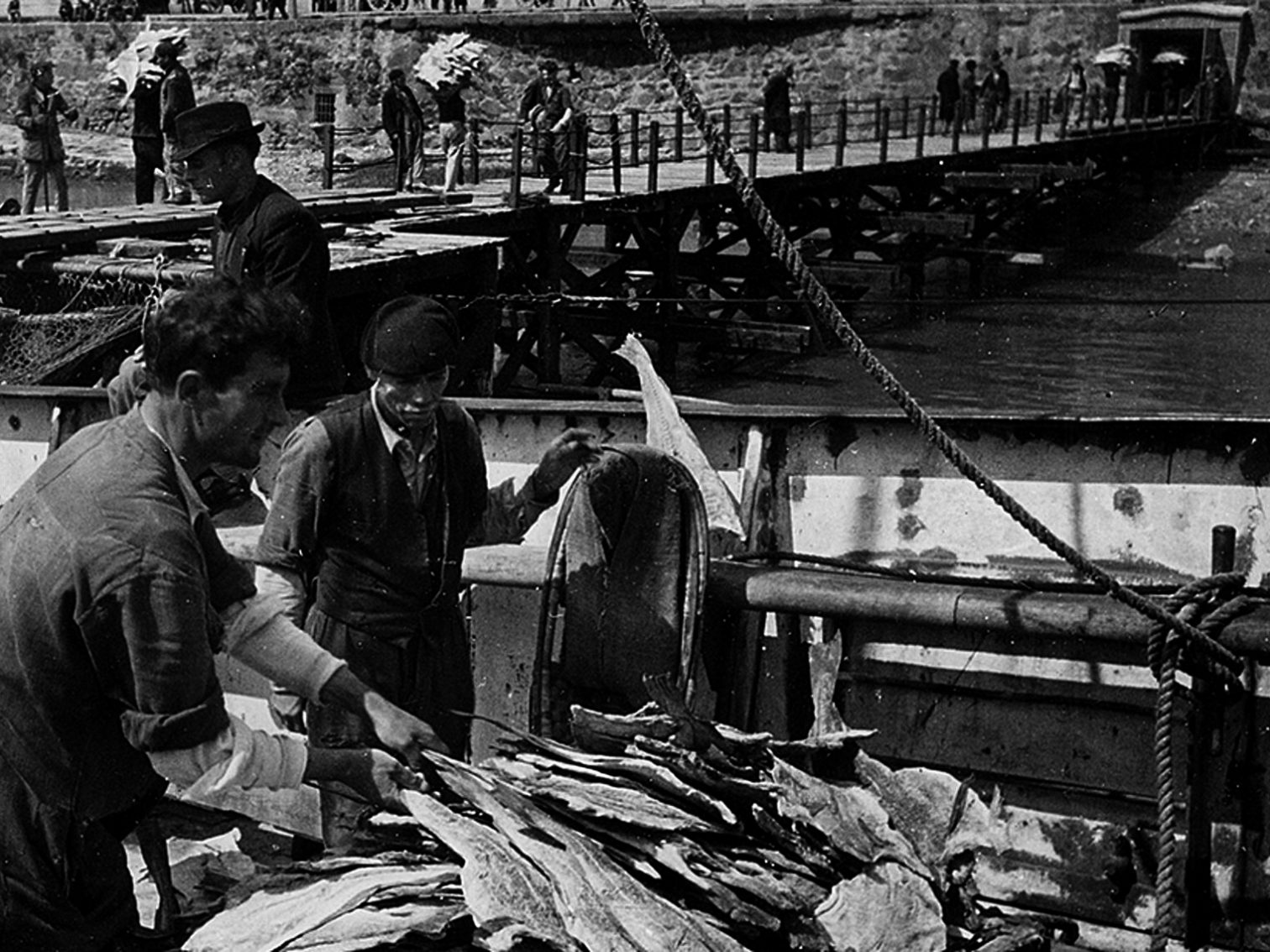 A boat at the dock, featuring men organizing codfish catches to unload. Outside, individuals carry fish along a walkway.