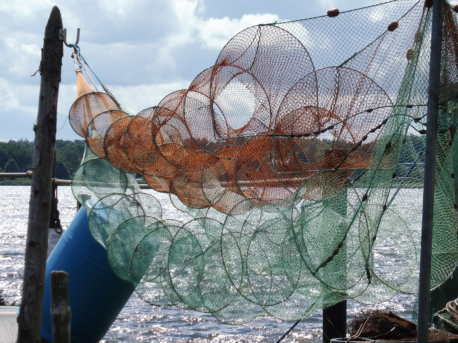 Aquatic landscape with fish traps drying.