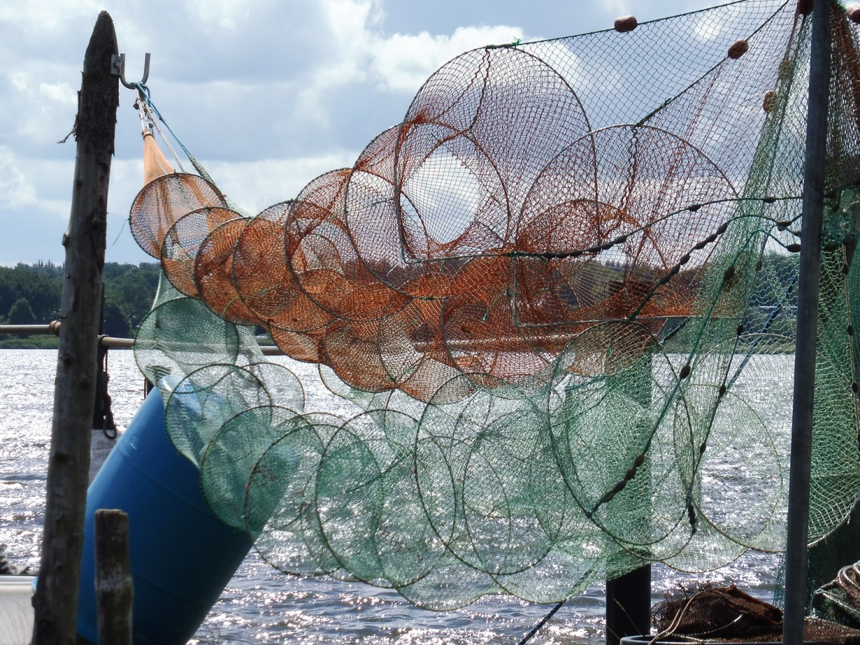 Labiule Ethno-design in Labile Zones - Fishing Architecture