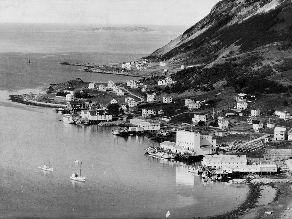 A scalloped bay at the foot of a mountain, featuring several architectural types tied to marine resource exploitation.